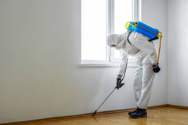 Best Termite Inspection and Treatment  in Pleasantville, NJ